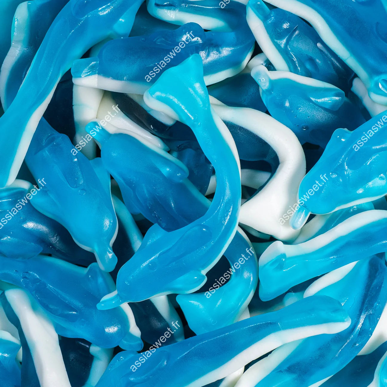 Dauphin XL 100g