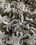 Araignées Noires Sucrées 100g
