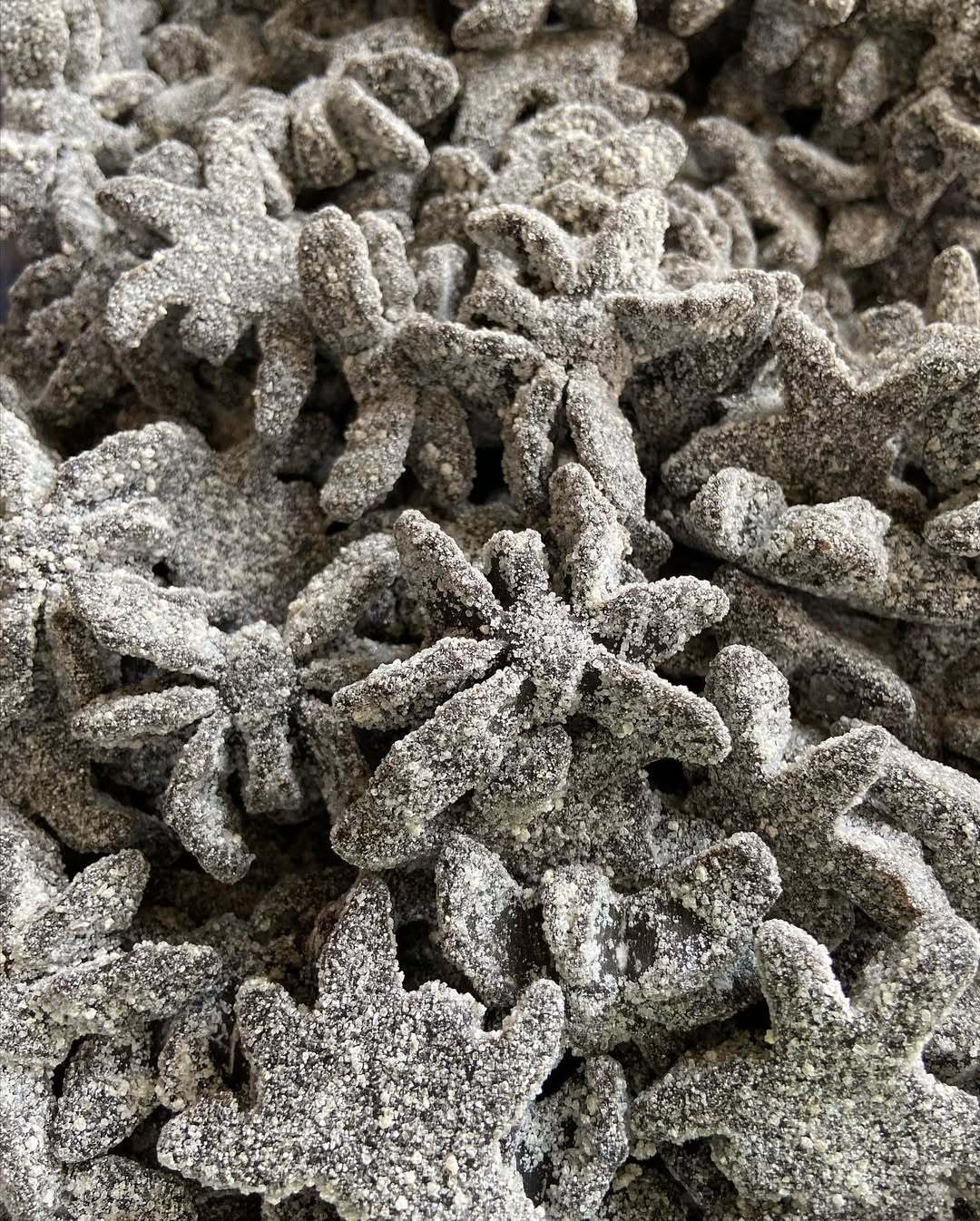 Araignées Noires Sucrées 100g